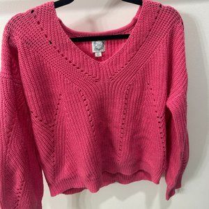 Francesca's v-neck sweater